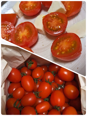 みんなの投稿の画像