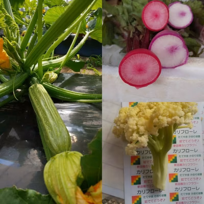 みんなの投稿の画像