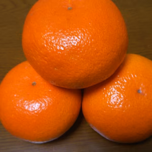 熊本県産　紅ミカン