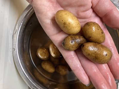 みんなの投稿の画像