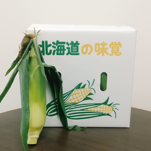 甘さあふれる　朝もぎ！10本　北海道産ピュアホワイトSP