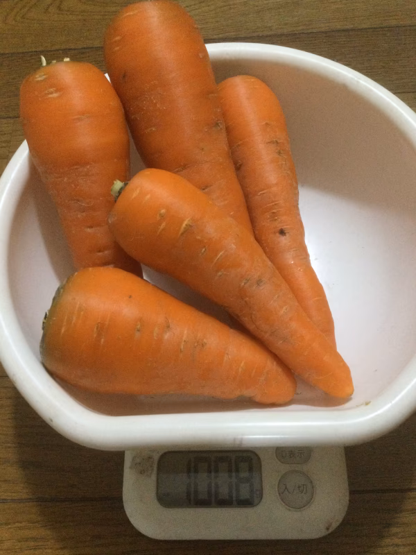 甘くて濃い、八ヶ岳高原のにんじん　大（農薬・化学肥料不使用）