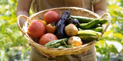 ポケマル体験をもっと楽しく！Q&Aページ活用のススメ✨