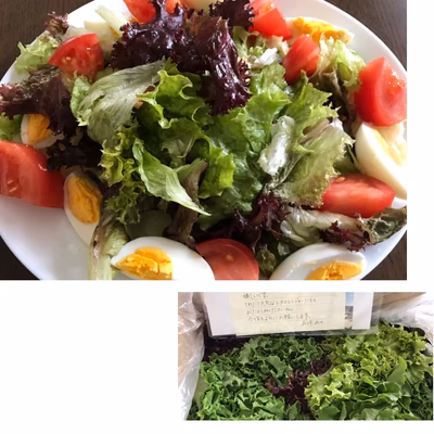 みんなの投稿の画像