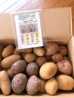 みんなの投稿の画像