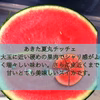 旬の秋田県産 大玉 スイカ  小玉 夏まるすいか お盆 お中元 送料無料 