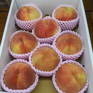 桃　川中島白桃ギフト商品