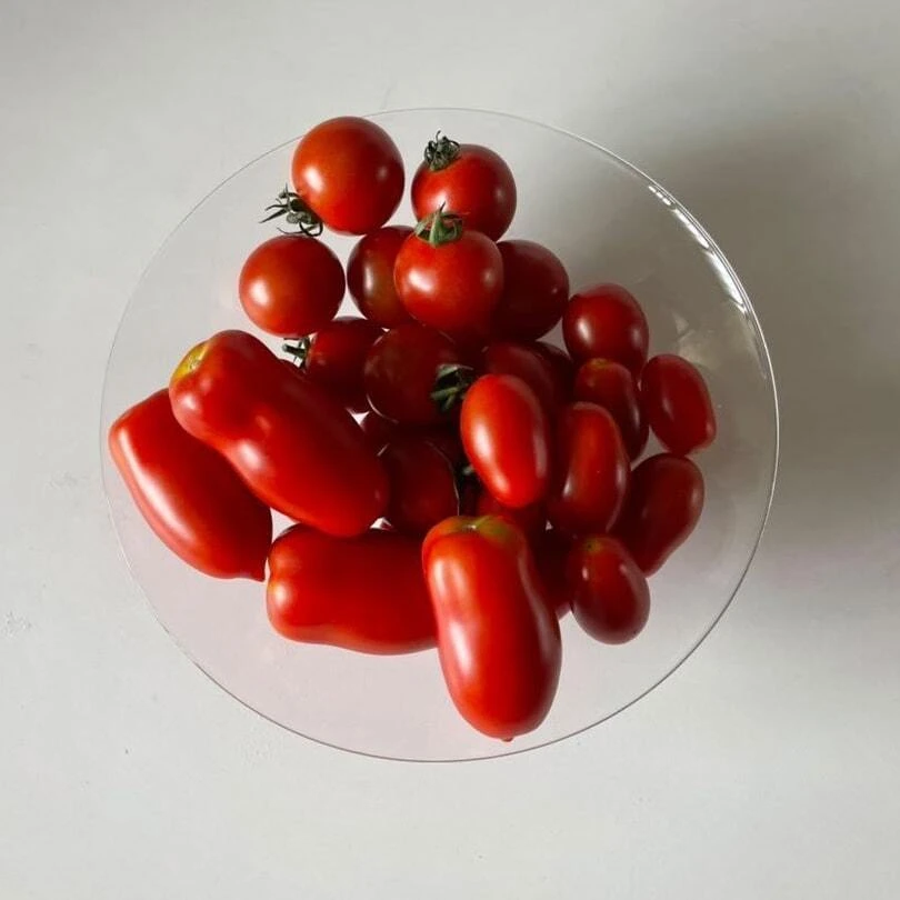 おまかせトマト何が届くかお楽しみ「ミニトマト」「ロッソナポリタン
