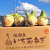 【野菜ソムリエサミット金賞】淡路島新玉ねぎ20kg