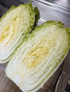 *松島純二号*自然栽培 白菜