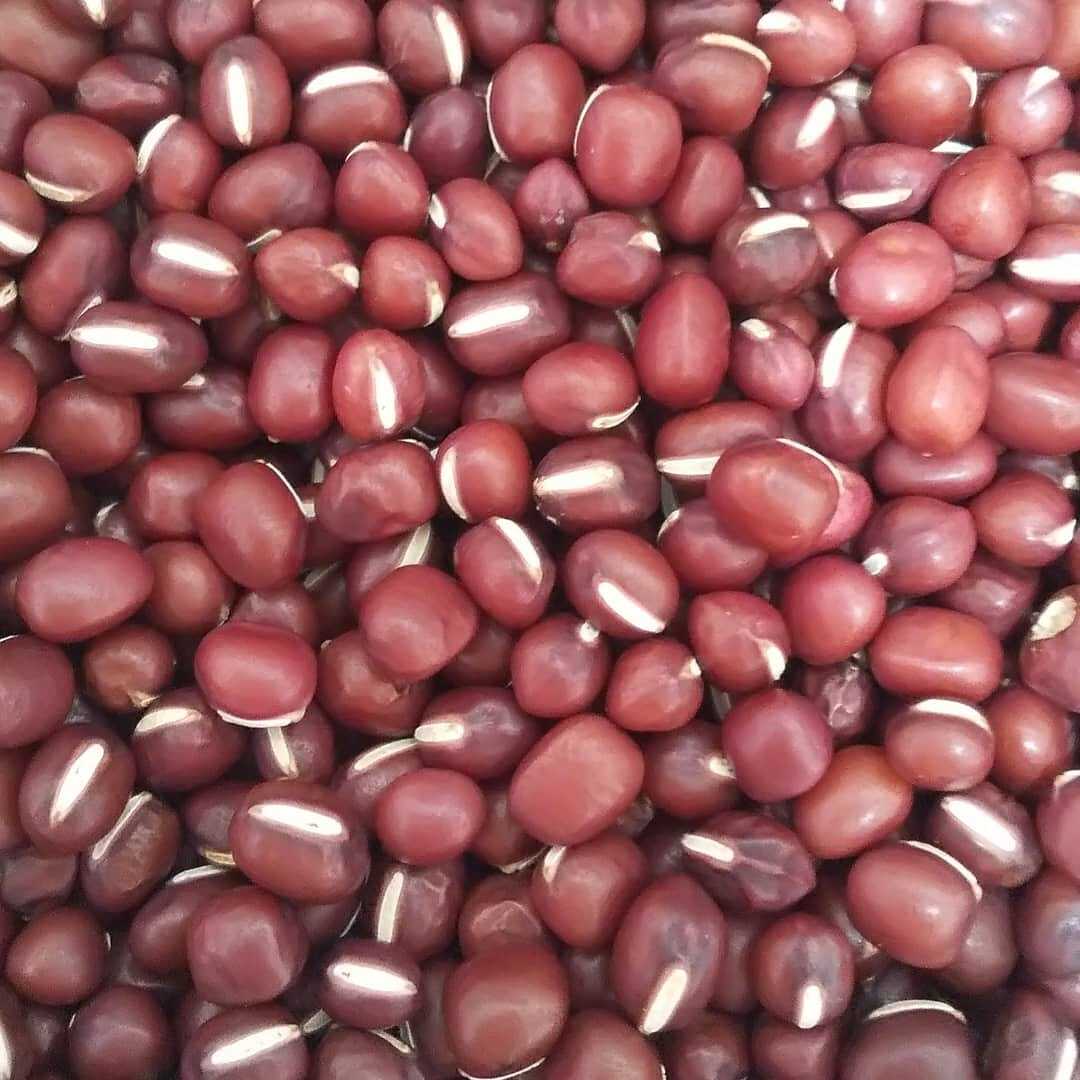 あずきの通販・お取り寄せ商品｜野菜｜ポケットマルシェ｜産地直送で旬