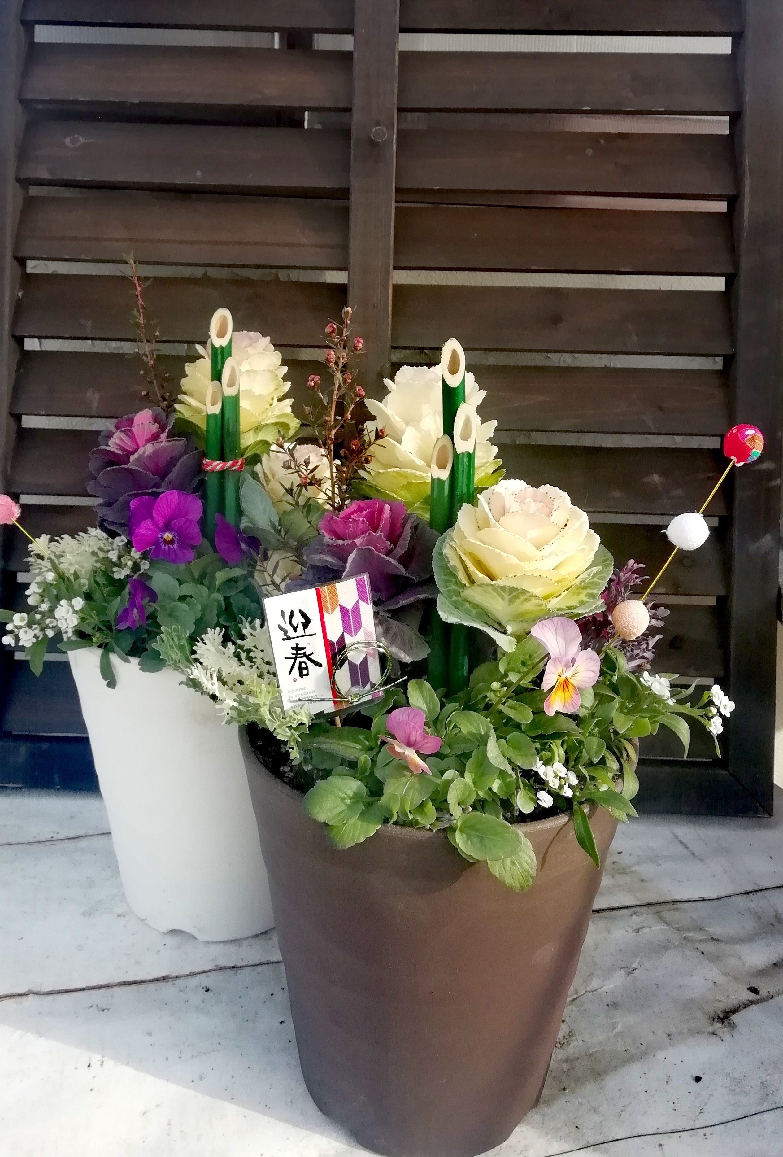 踊り葉牡丹葉の巻きが薔薇のような葉牡丹の洋風寄せ植え ブラウン 農家漁師から産地直送の通販 ポケットマルシェ