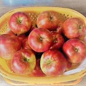 青森県産りんご　サンつがる10個手かご付 8月下旬出荷予定
