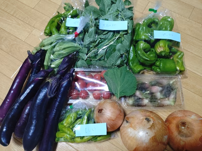 みんなの投稿の画像