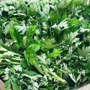 レアー!!冬越え＊野沢菜の菜花、小松菜の菜花/ヨモギ/越冬ネギ～農薬不使用