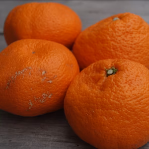 【しわしわ甘い！】青島みかん　箱入り　