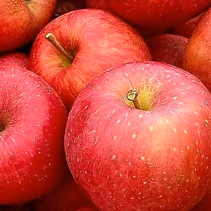 【訳あり家庭用りんご】福島の美味しい林檎　いわせっ娘5kg(14～20個)