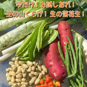 茹で落花生2種食べくらべ！+さつまいも+山くらげ+季節の野菜のセット