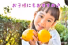 【第二弾】完熟上野早生みかん【２Ｓ-S】