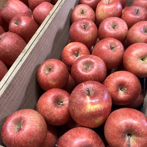 青森県産りんご【約10kg】サンふじ売り尽くしセール‼️