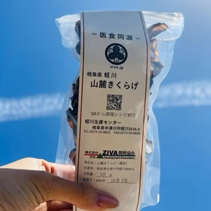 【国産】肉厚！プリプリ！コリコリ食感！　乾燥キクラゲ