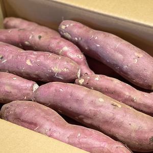 低温熟成保管‼茨城県産紅はるかS～Ｌサイズ混合　さつまいも　サツマイモ