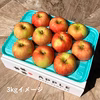 ジューシーで甘い夏りんご つがる 低農薬で安心！キズなし良品 予約 人気