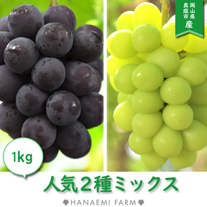 2M-1 花笑み農園　岡山の『ピオーネ＆シャインマスカット』約1kg　9月中旬～