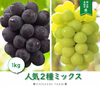 2M-1 花笑み農園　岡山の『ピオーネ＆シャインマスカット』約1kg　9月中旬～