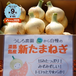 【小玉】丸ごと‼️使い切りにオススメ❗️淡路島の新玉ねぎ【兵庫安心ブランド認証】