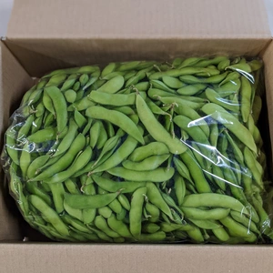 【今期終了です】新潟県産枝豆粗選別品1~2kg冷蔵便