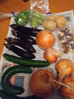 みんなの投稿の画像