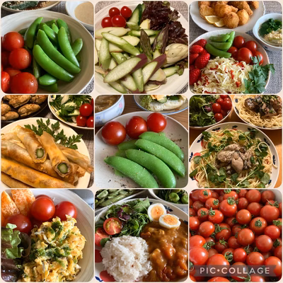 みんなの投稿の画像