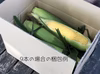 農カード付き！サイズおまかせ [信州産] 本当に最後の糖もろこし