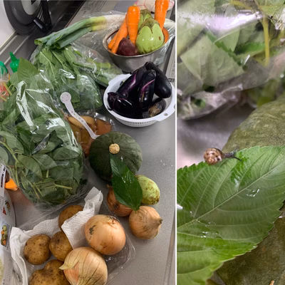 みんなの投稿の画像