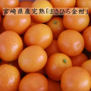 宮崎県産の完熟「まさひろ金柑」貴重な『3Lサイズ』1kgバラ