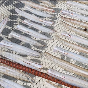 穴子干物3〜4枚入り　真空パック 瞬間冷凍 送料一律 鮮度抜群 愛媛県