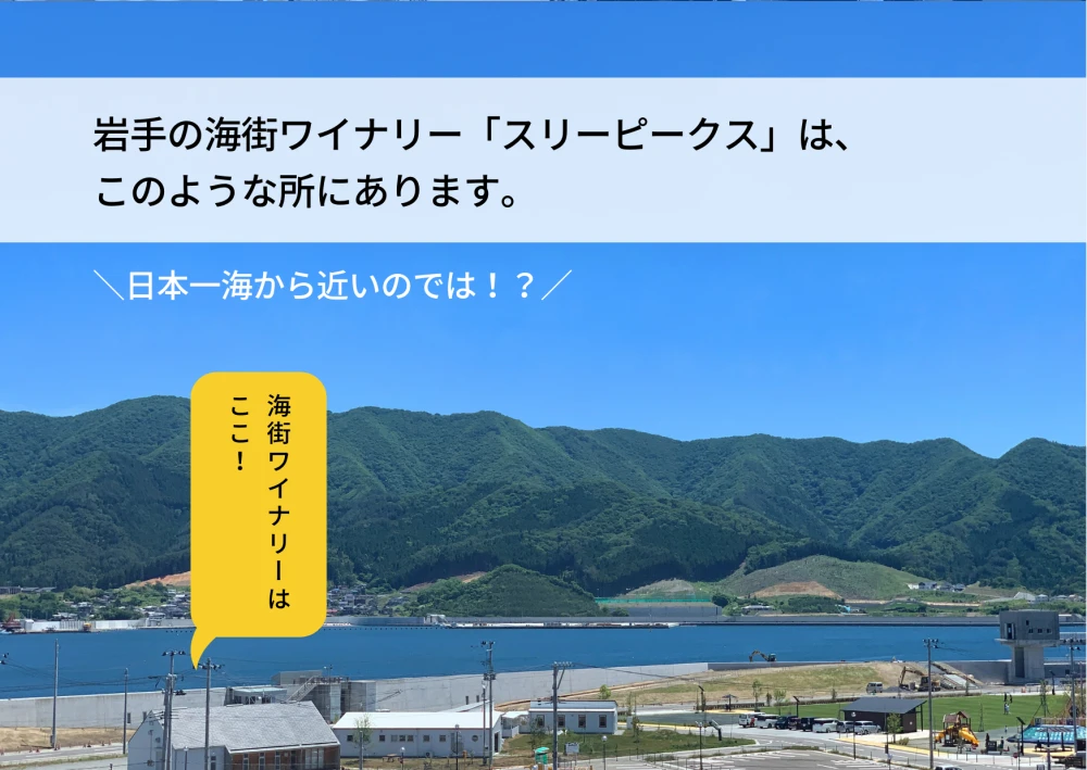 【りんご３姉妹】飲み比べて楽しいアップルシードル（375ml ３本）