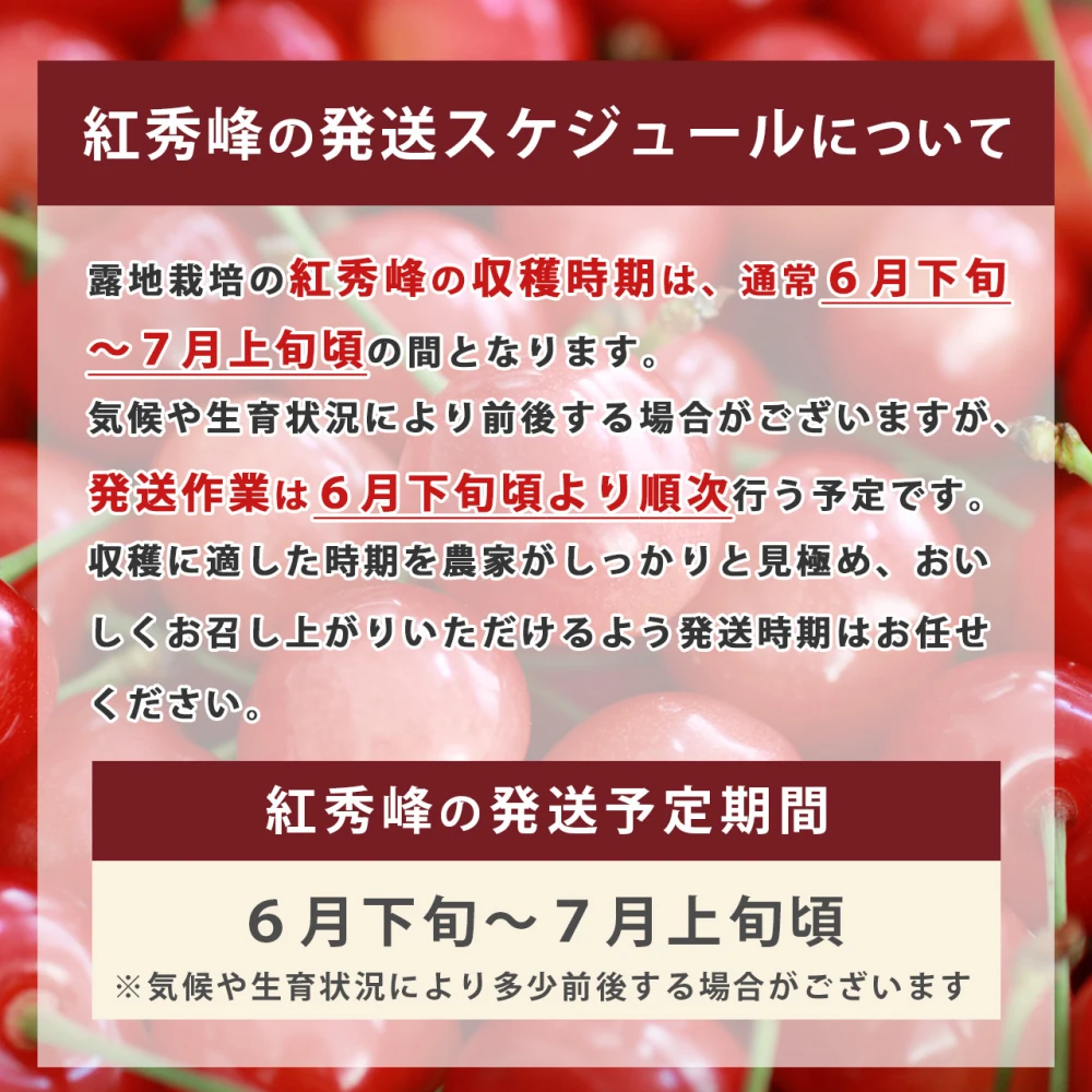 予約・送料無料】山形県産 さくらんぼ 紅秀峰(大粒2Lサイズ バラ詰め