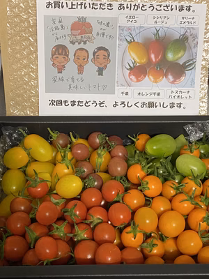 みんなの投稿の画像