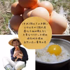 【パック入り】とれたて純国産平飼い自然卵（有精卵）添加物／保存料不使用