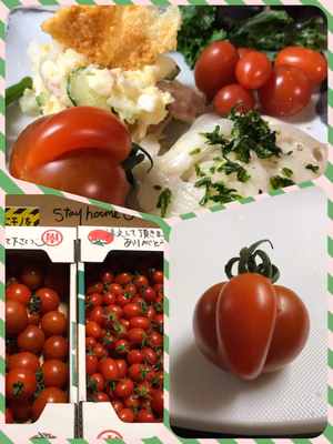 みんなの投稿の画像