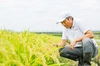 もち米1㎏2袋　特別栽培米ヒメノモチ