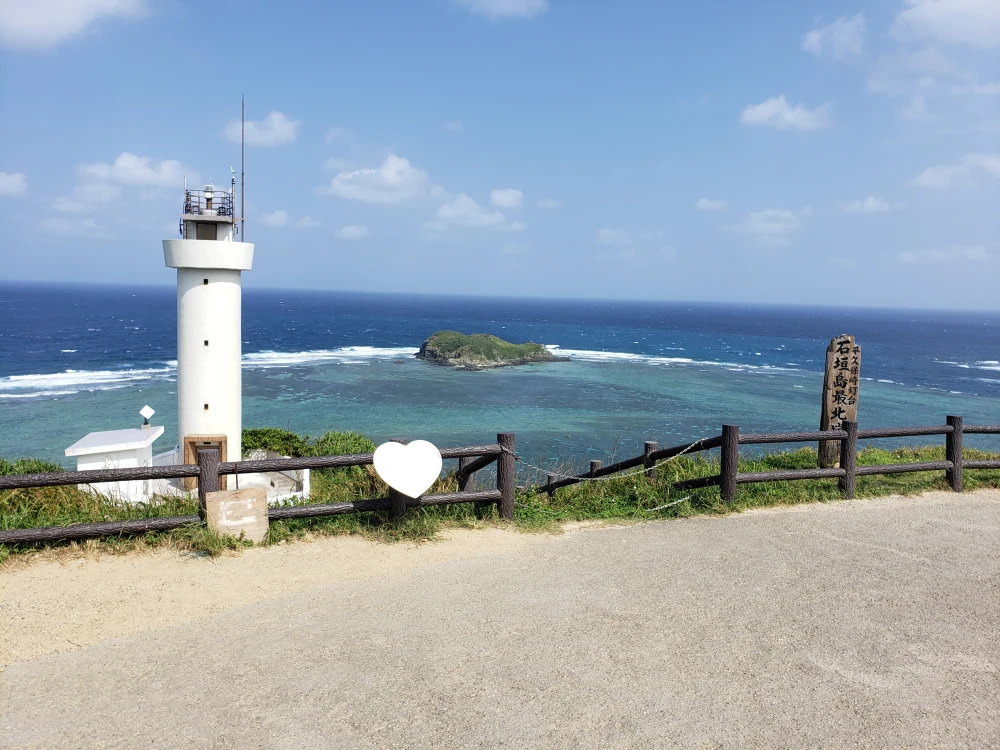 【予約特価・4月発送】《完熟パイナップル》石垣島産ピーチパイン 