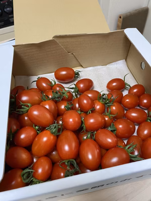 みんなの投稿の画像