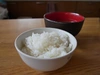 冷めても美味しい！ひとめぼれ 特別栽培米