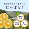 11月収穫 和歌山有田産 柑橘じゃばら果実