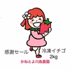 感謝セール 冷凍いちご 2kg