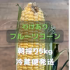 わけありフルーツコーンゴールドラッシュ5kg