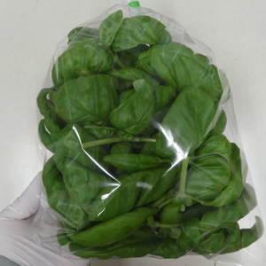 無農薬バジル　100ｇ入り